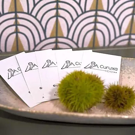 Hotel A Curuxa Wellness Arzúa