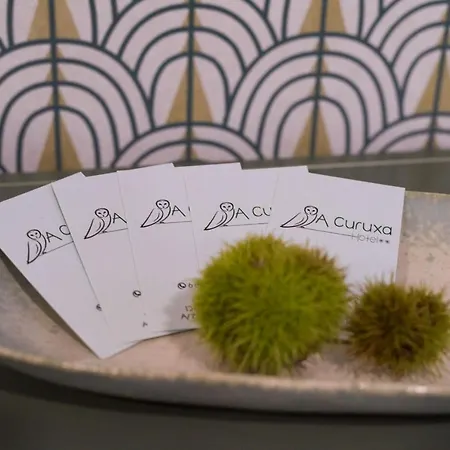 A Curuxa Wellness Hotel 3*
