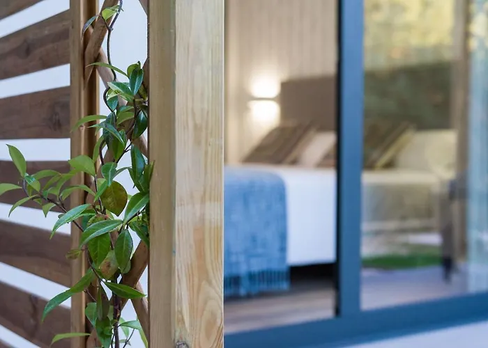 A Curuxa Wellness Arzúa